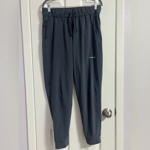 Patagonia Jogger pant never worn grayish blue